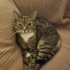 alley_catxo